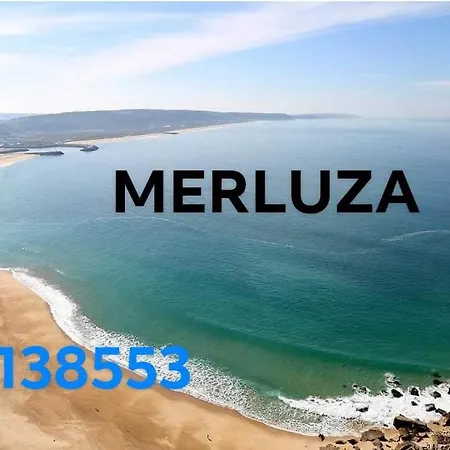Merluza 나자레